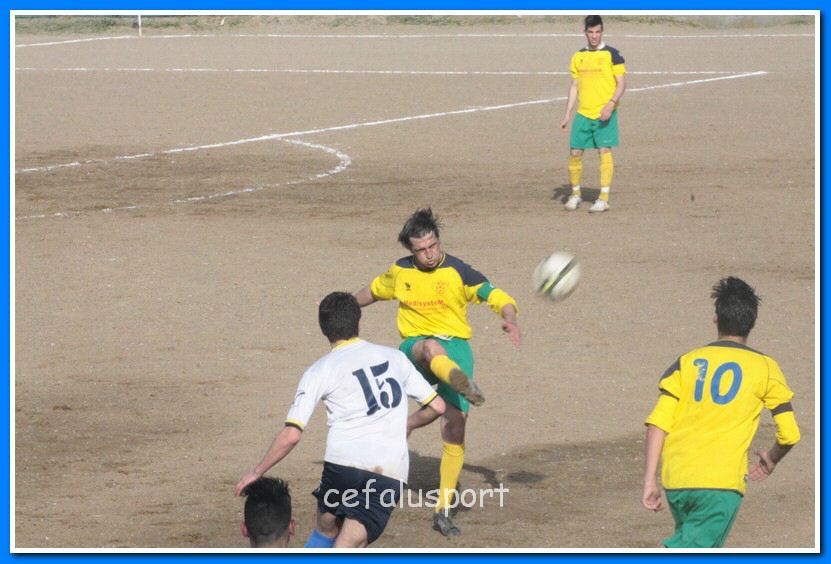 130406 delfini 100_tn.jpg